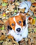 Herbstimpressionen 2025