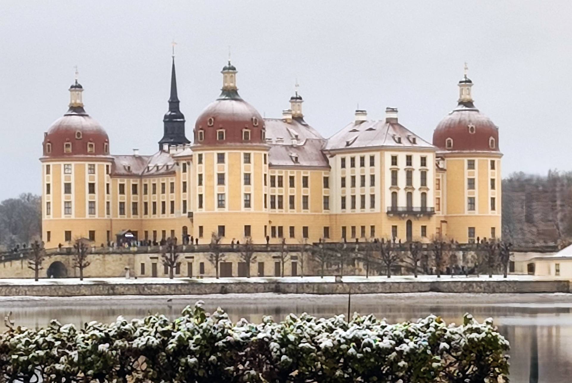 Einladung: Kooikerspaziergang der BZG-Ost am Jagdschloß Moritzburg