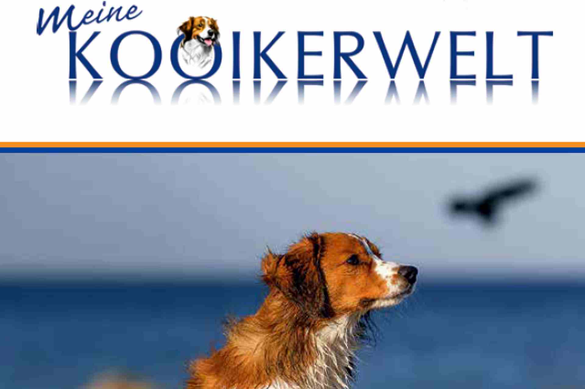 Versand neue Ausgabe &quot;Meine Kooikerwelt&quot;