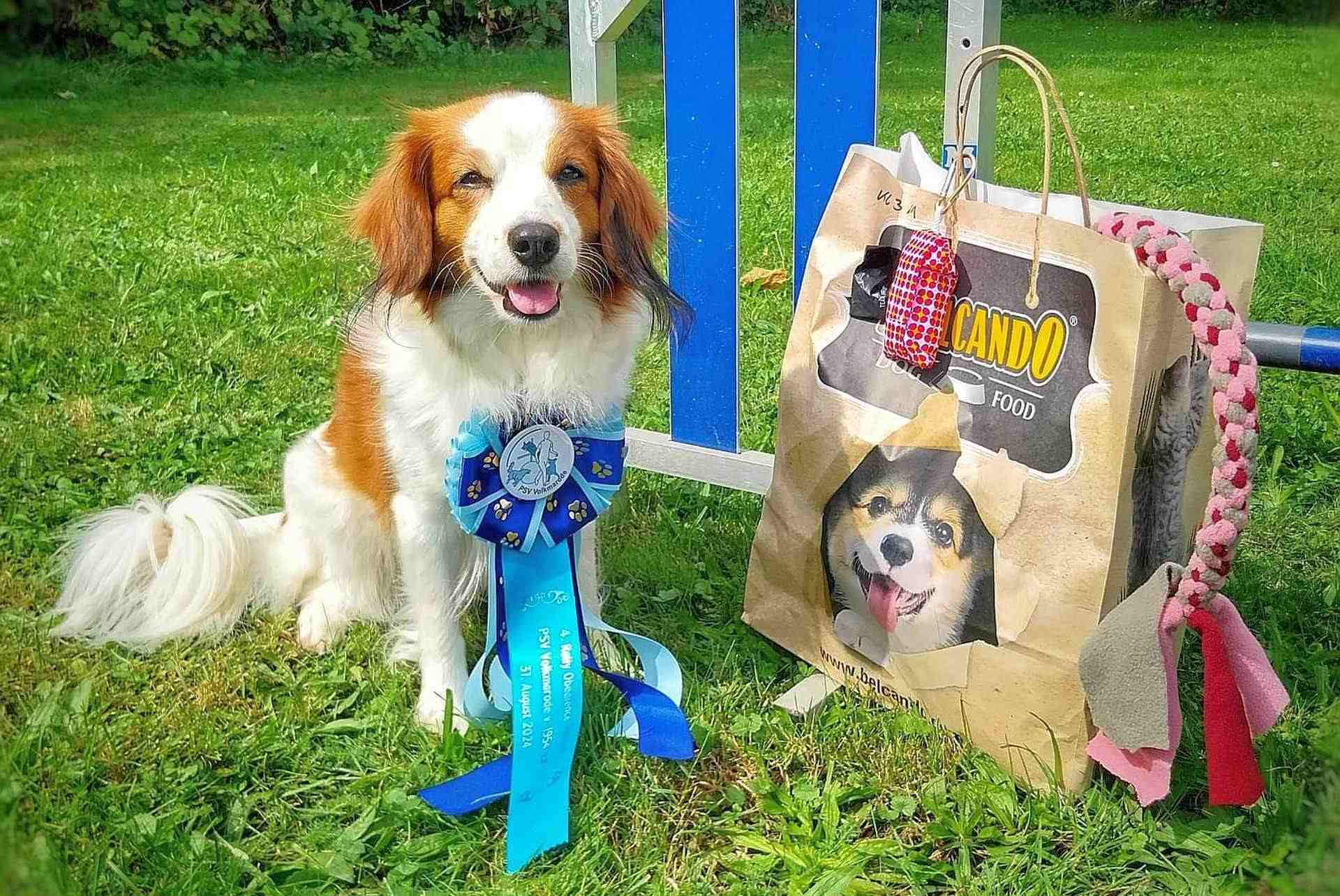 Urszula und Liv erringen in Rally Obedience Klasse 3 mit 100 (!) Punkten den 1. Platz