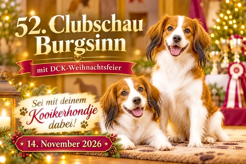 Warum nur zuschauen? 52. DCK-Clubschau in Burgsinn – sei mit deinem Kooikerhondje dabei!