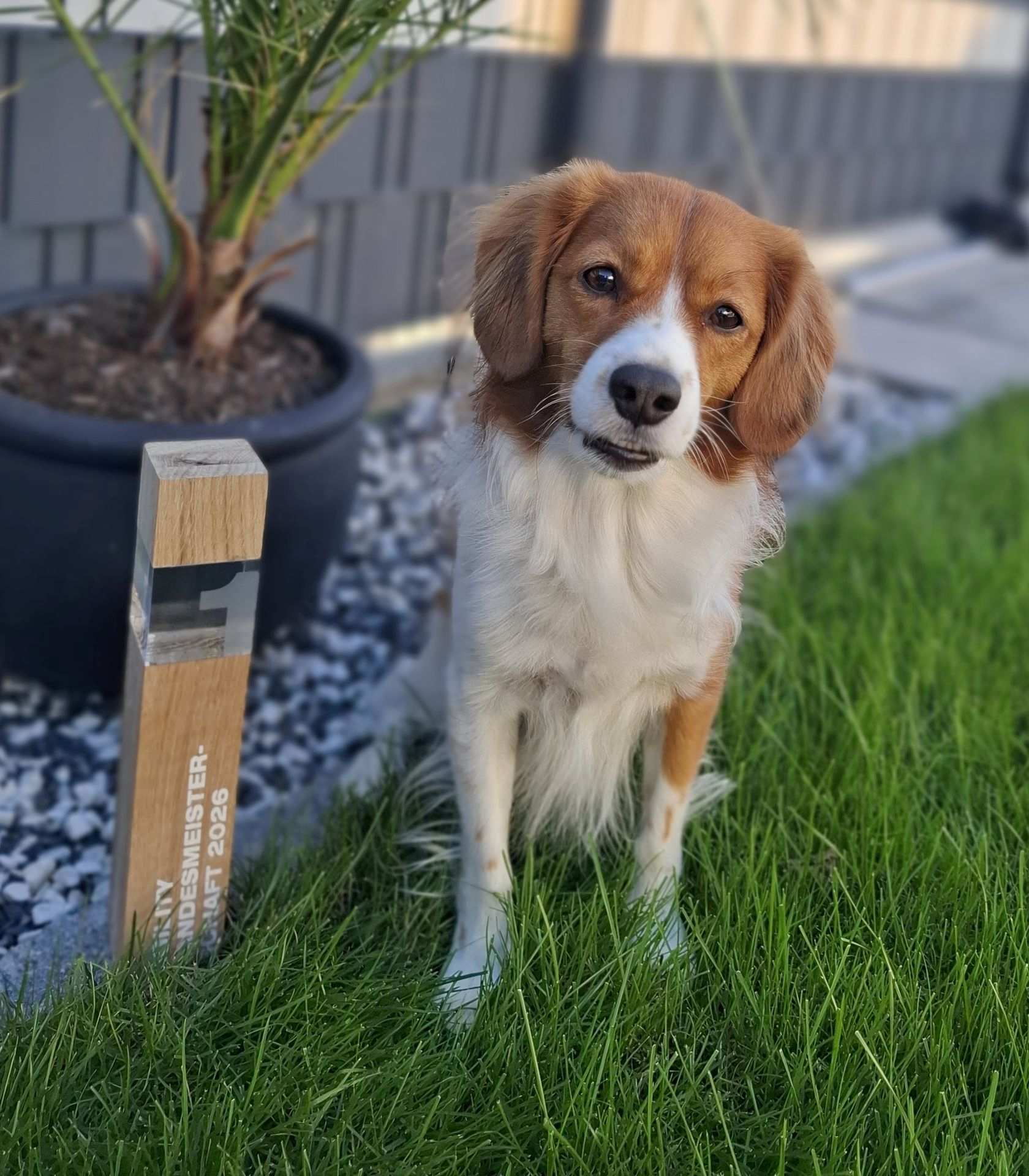Bayani von Chaccos Huisje Landesmeister