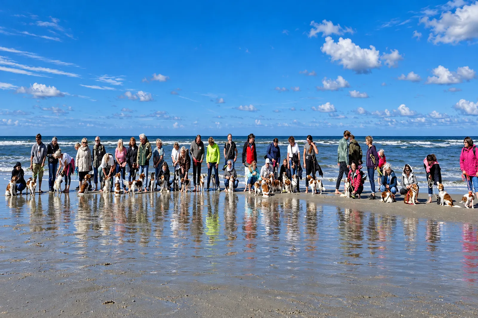 38 Hondjes machen den Hundestrand in Sankt Peter-Ording unsicher