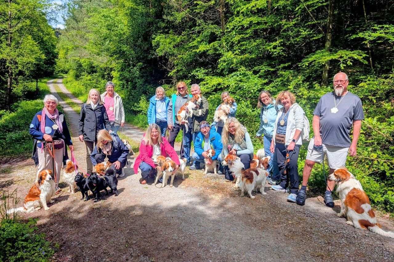 BZG Südwest: Kooikerhondje-Spaziergang an der Kartause Grünau