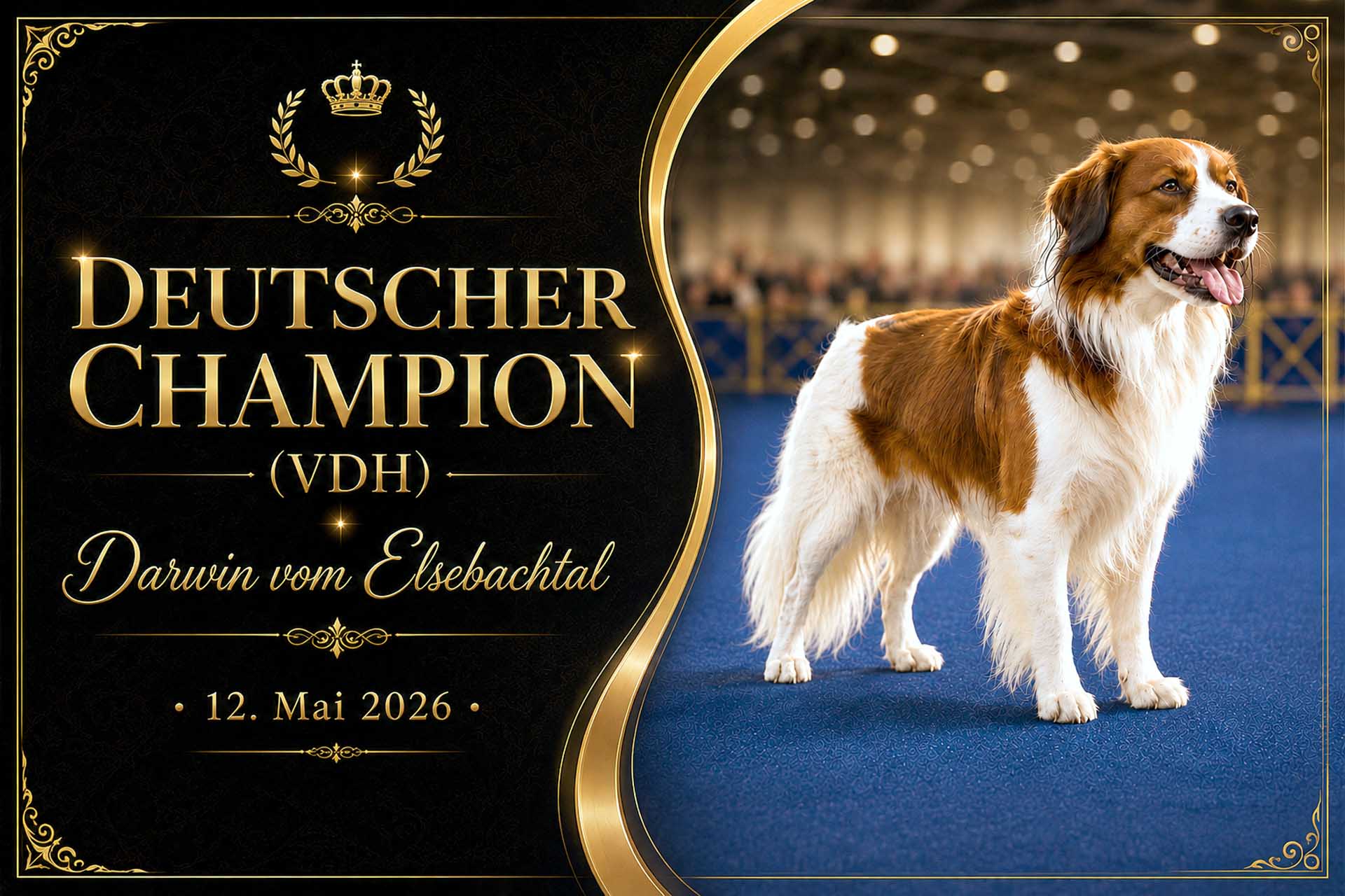 Champion Darwin vom Elsebachtal