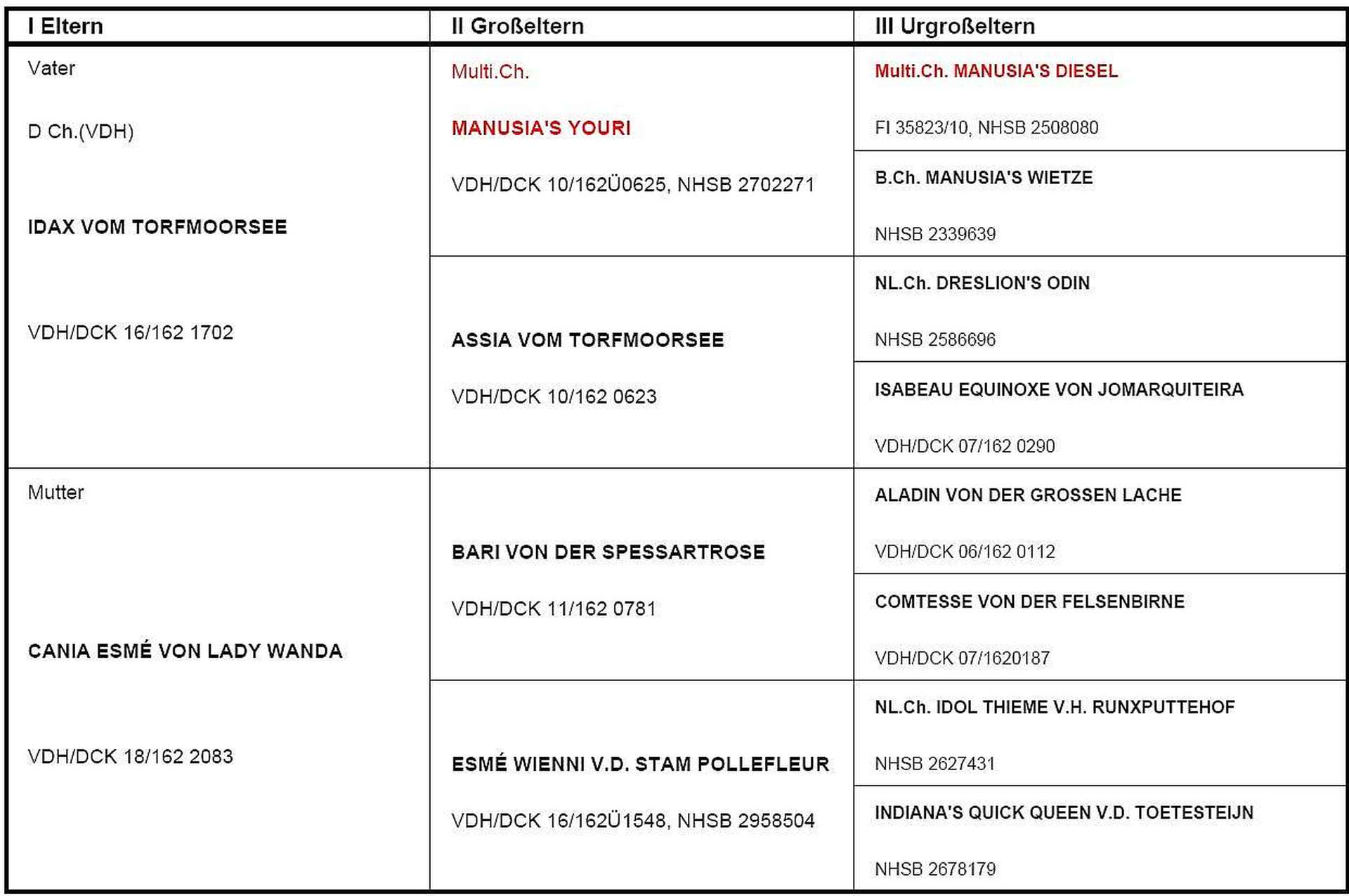 arjuna-vom-altländer-elbdeich-ahnen